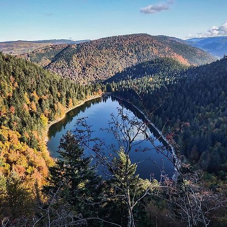 Grand'Roche Daire Cornimont Dış mekan fotoğraf