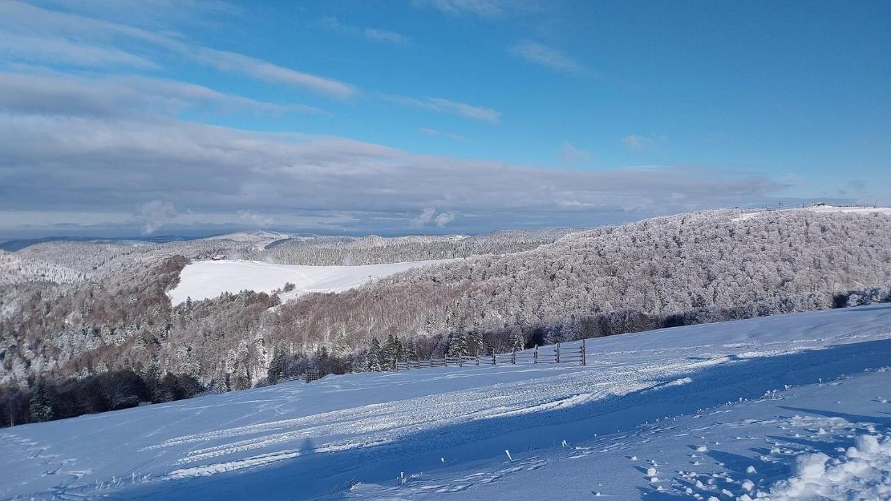Grand'Roche Daire Cornimont Dış mekan fotoğraf