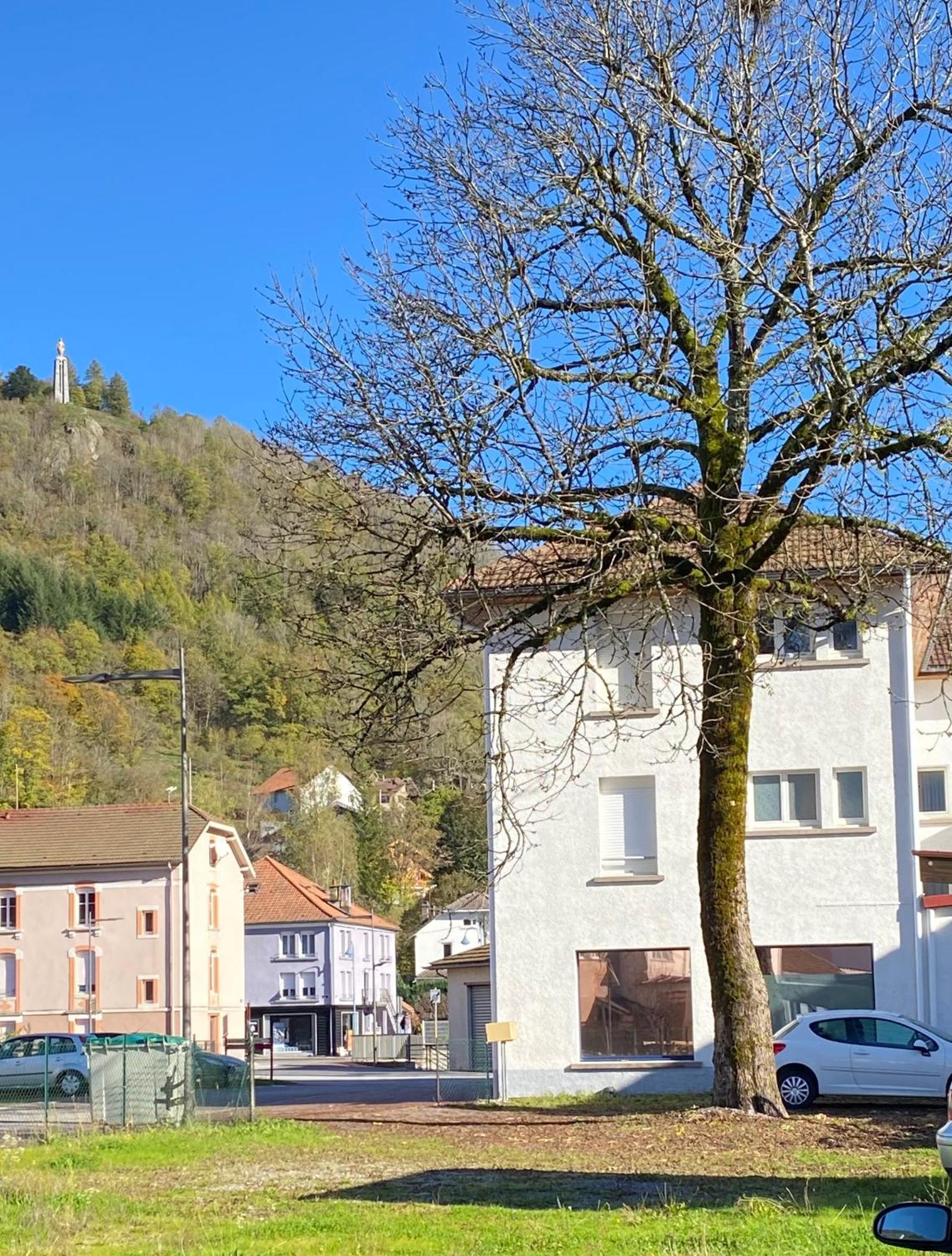Grand'Roche Daire Cornimont Dış mekan fotoğraf